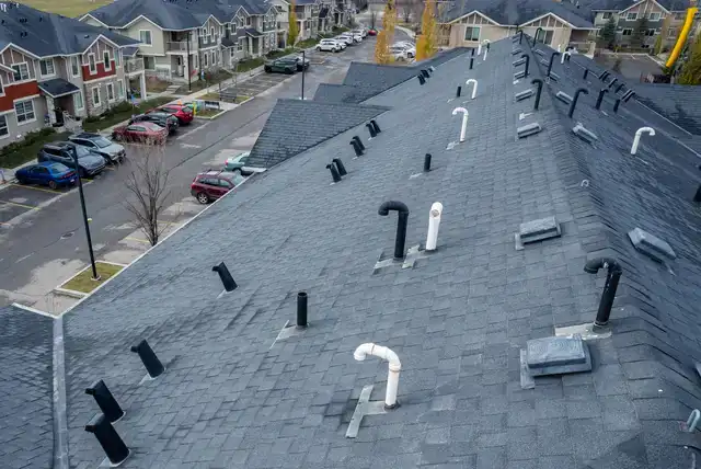 Calgary roof leak detection service